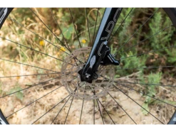 Terra Flat Bar Gravel Bike -Default Template 3 DSC 8981 web size large