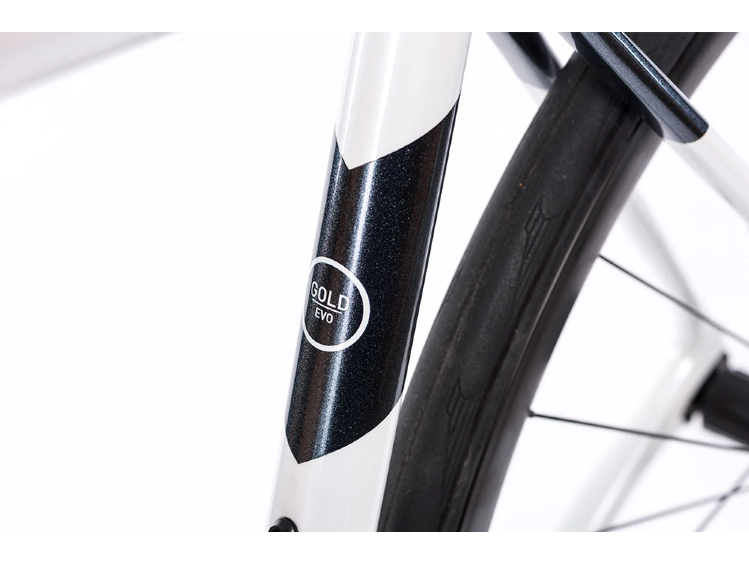 Gold Evo 105 8 Gold Evo 105 – Bild 8