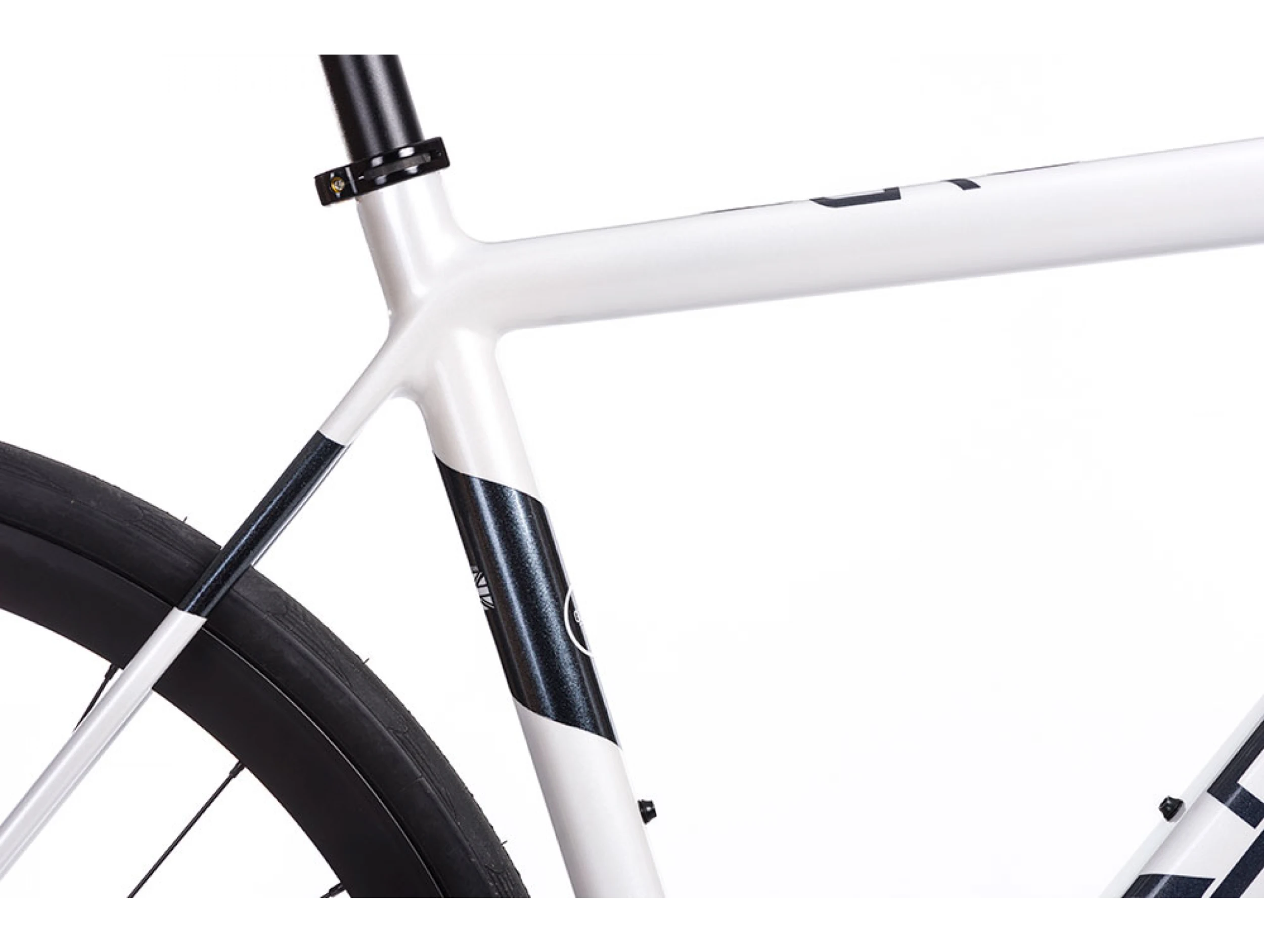 Gold Evo 105 6 Gold Evo 105 – Bild 6